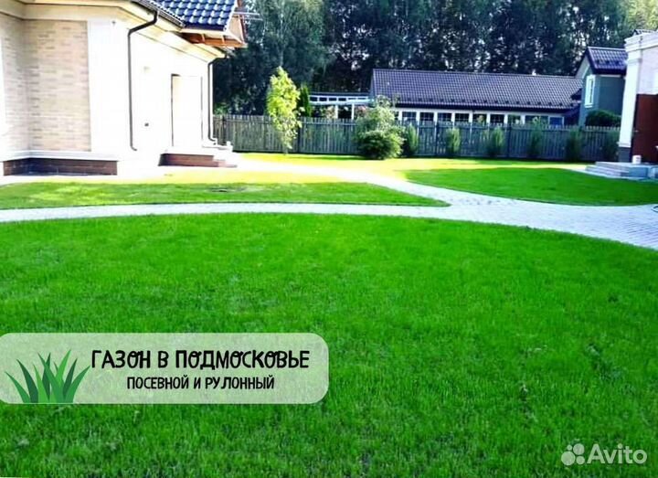 Рулонный газон, газон посевной