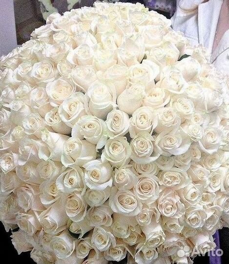 Высокие Высокие розы Гигантские розы Букеты Достав