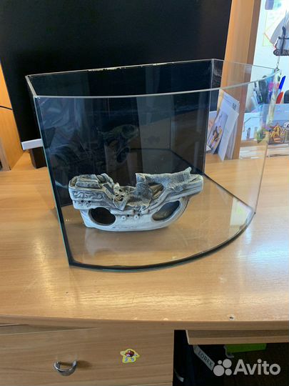 Аквариум полукруглый