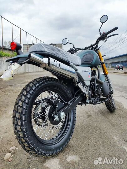 Новый Racer Triumph 250 (2023)