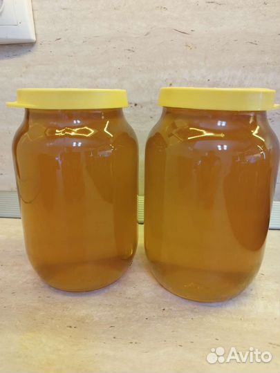 Мед цветочный с рапсом. Бесплатная доставка