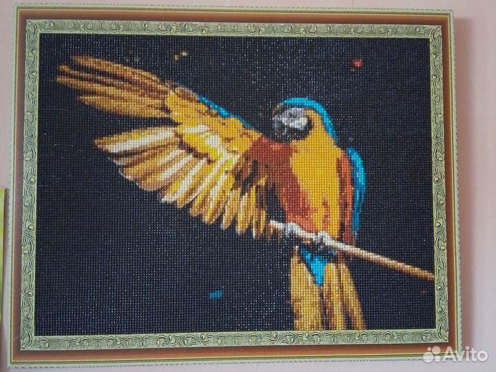 Попугай картина алмазная