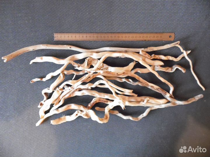 Коряги дрифтвуд