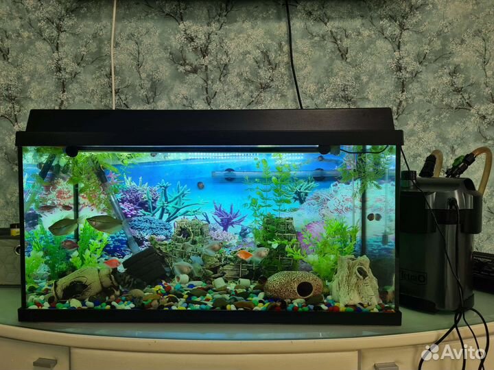 Продам аквариум на 100 л и все оборудование к нему