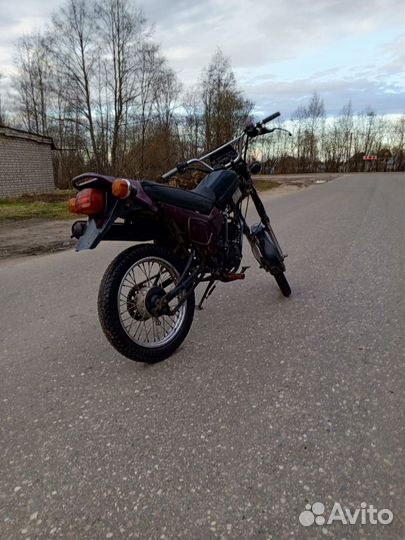 Зид пилот 50