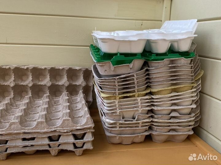 Ячейки для яиц