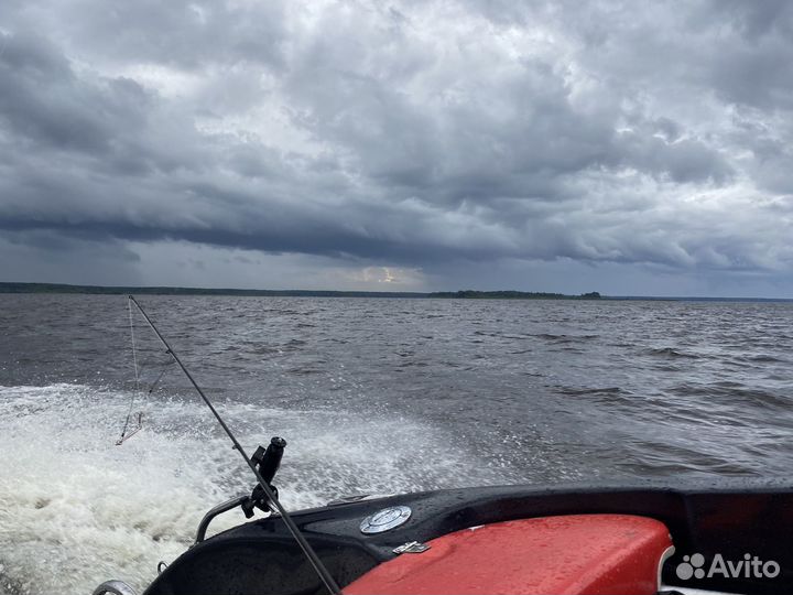 Катер Pragmatik Gepard 560