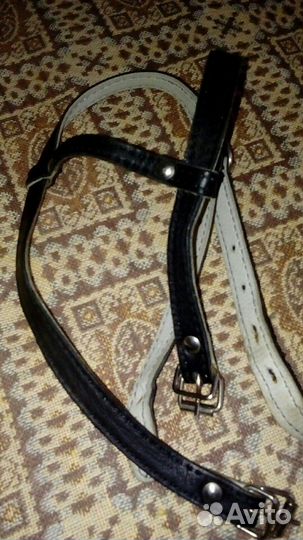 Шлейка для собак