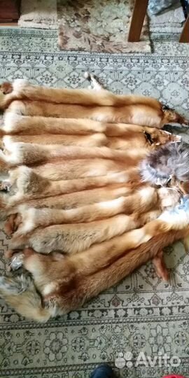Продам шкуры лисы и выделанные