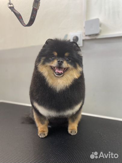 Требуются модели