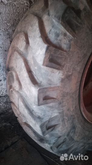 Шины на амкодор
