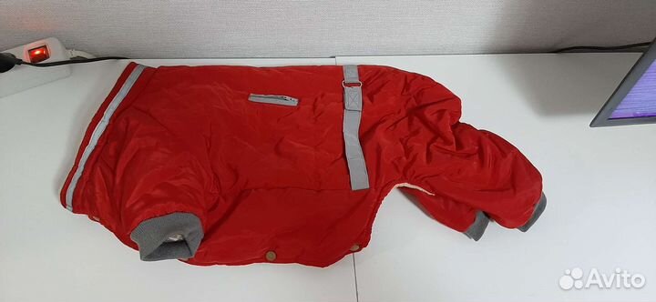 Дождевик, комбинезон, куртка и ветровка для собаки