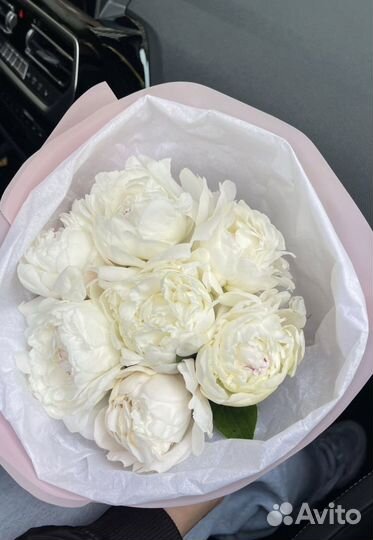 Букеты из Пионов Цветы с доставкой 24/7