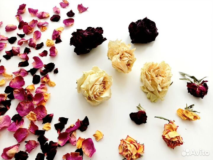 Сухоцветы для творчества розы
