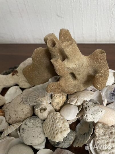 Для аквариумов. Морские камни, коряга, кораллы