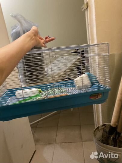 Клетка для грызунов