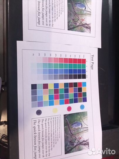 Мфу konica minolta bizhub С203 и С353