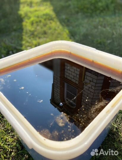 Мед Алтайское разнотравье оптом 2023