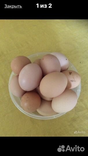 Яйцо куринное домашнее