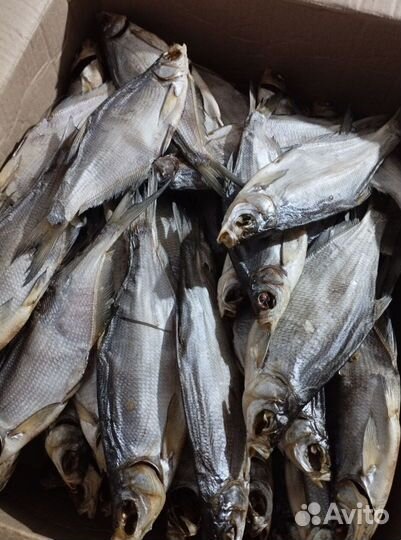 Вяленая рыба из Астрахани