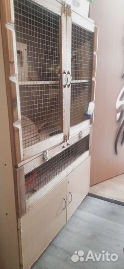 Клетка для норки или хорька