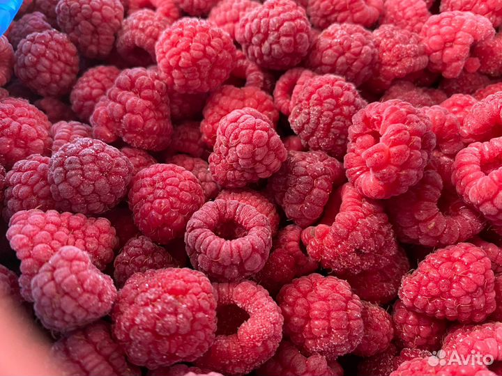 Малина замороженная в наличие 15 тон