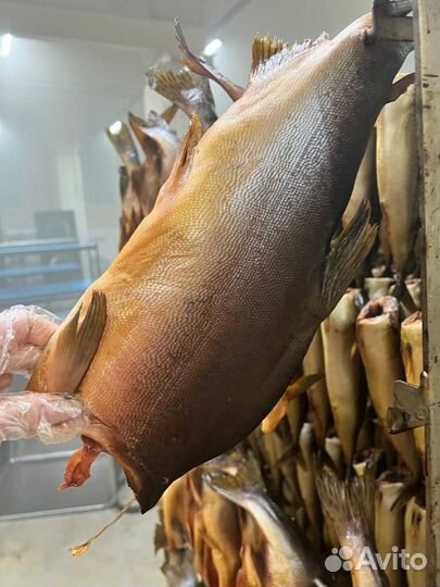 Рыба вяленая, х.копчения, св.мороженая