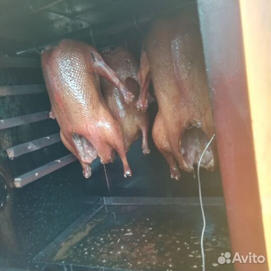 Копченый гусь (наличие)