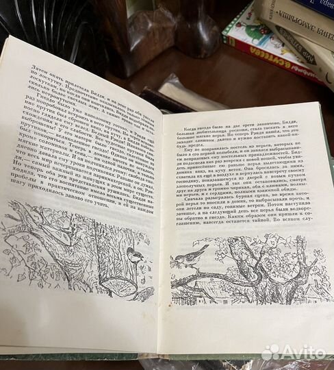 Сетон-Томпсон Э. Чинк и другие рассказы