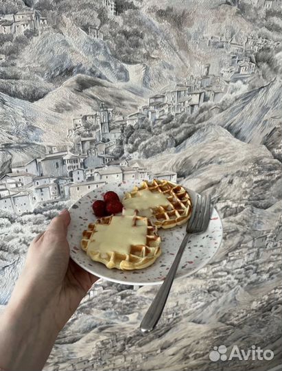 Вафельница для венских вафель новая