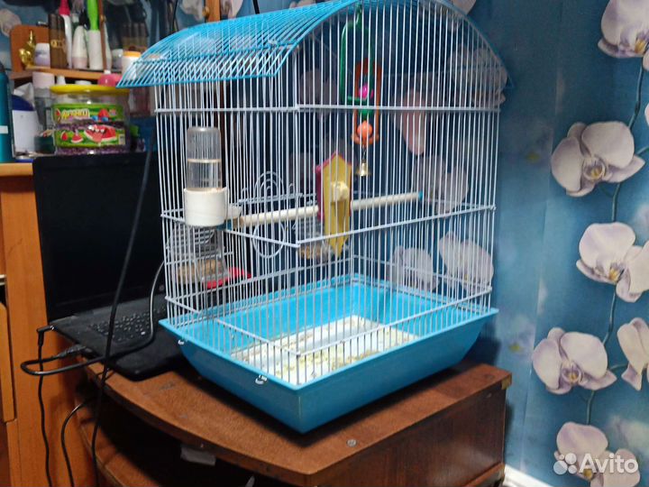 Клетка вольер для птиц