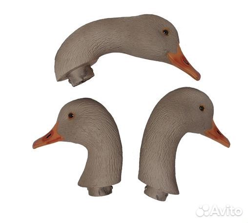 Скорлупки серого гуся GHG