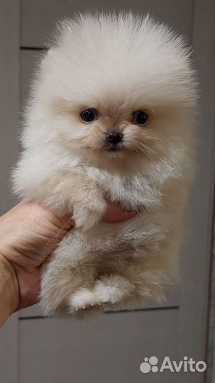 Облачко Девочка