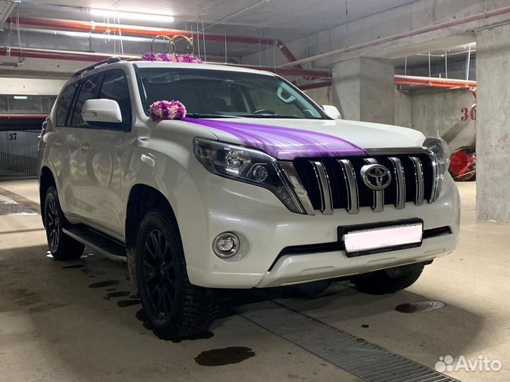 Аренда авто