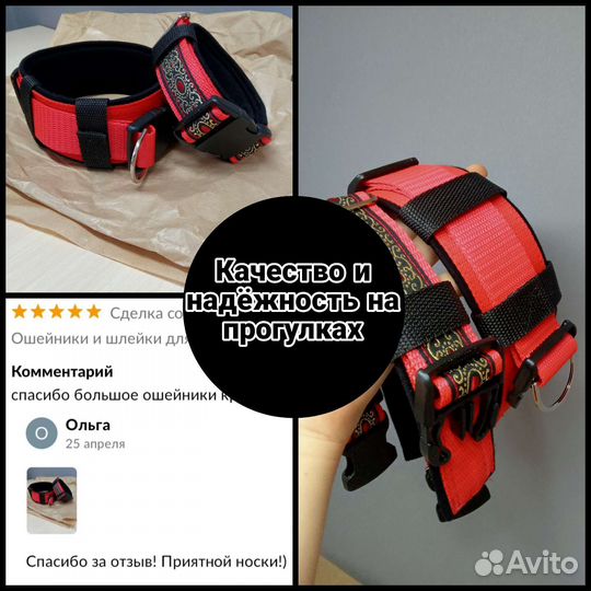 Ошейники и шлейки для собак под заказ