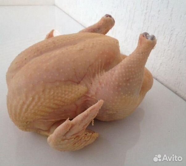 Тушка бройлера