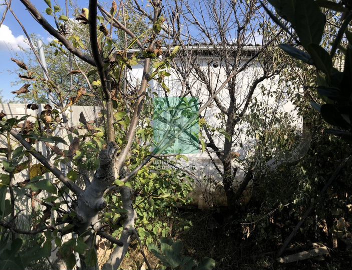 Участок 4 сот. (ИЖС)