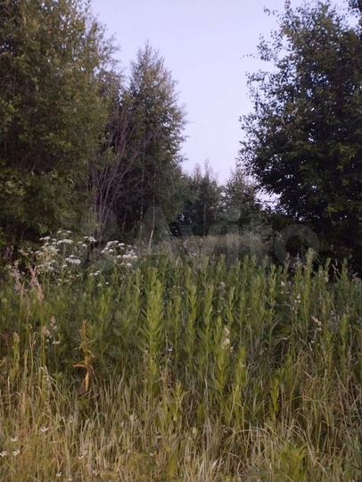 Участок 48 сот. (ИЖС)