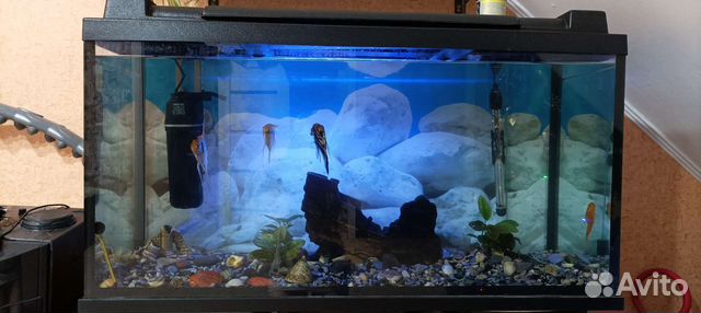 Аквариум 200 литров с тумбой