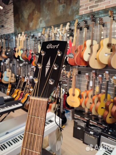 Cort Earth60M-OP - Акустическая гитара (Новая)