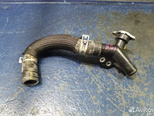 Заливная антифриза Toyota Probox NCP165