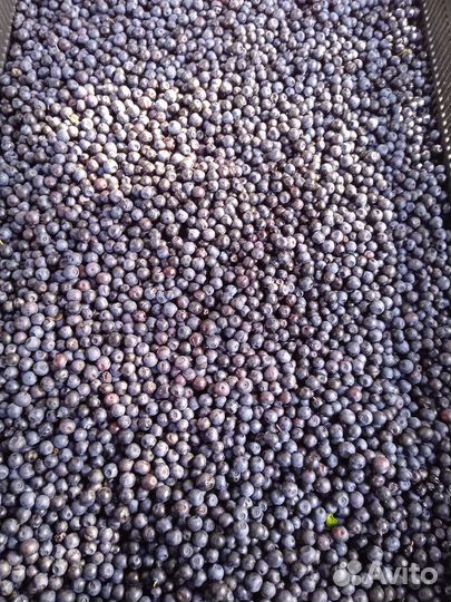 Виктория Садовая Мариэль