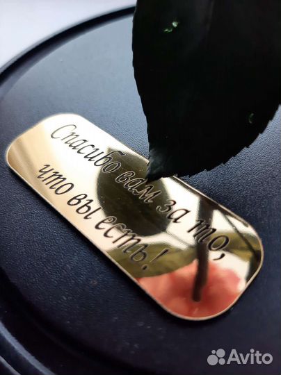 Роза в колбе