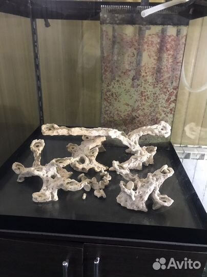 Морской, пресный аквариум