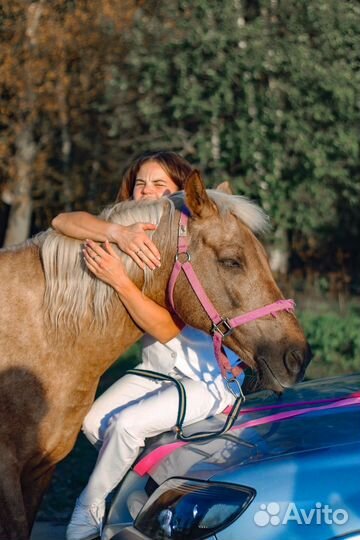 Лошадь для фотосессии