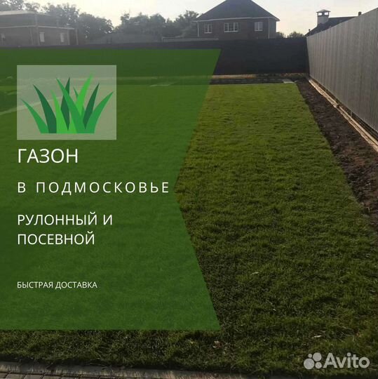 Рулонный газон