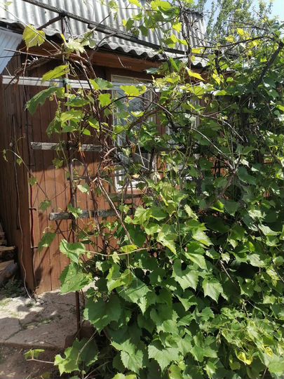 Дача 30,1 м² на участке 3 сот.