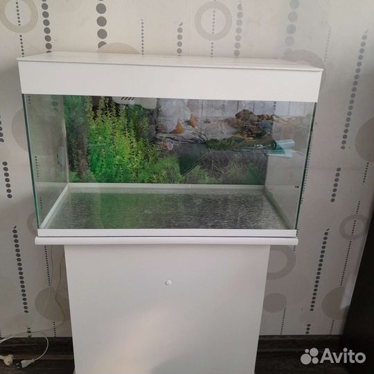 Аквариум с тумбой,75л