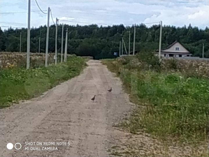 Участок 15 сот. (СНТ, ДНП)