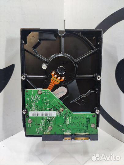 Жесткий диск Western Digital WD Blue 250 гб